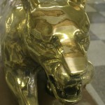 golden panther